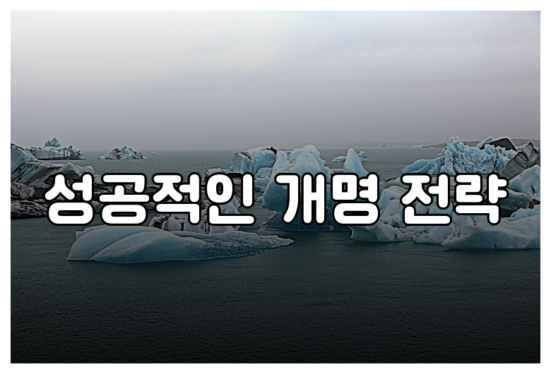 성공적인 개명 전략