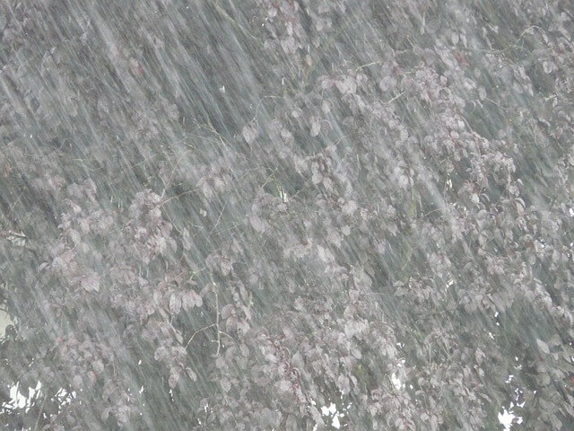 집중호우