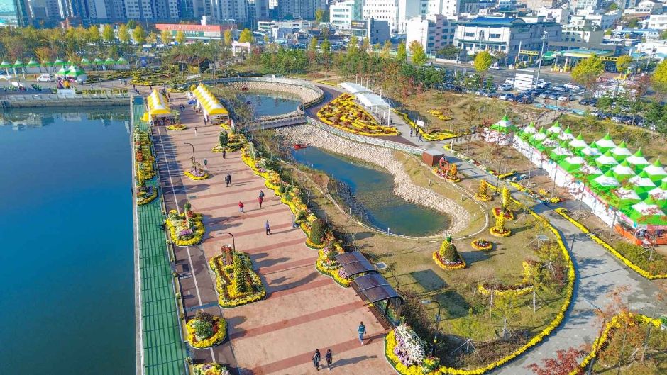 마산가고파 국화축제