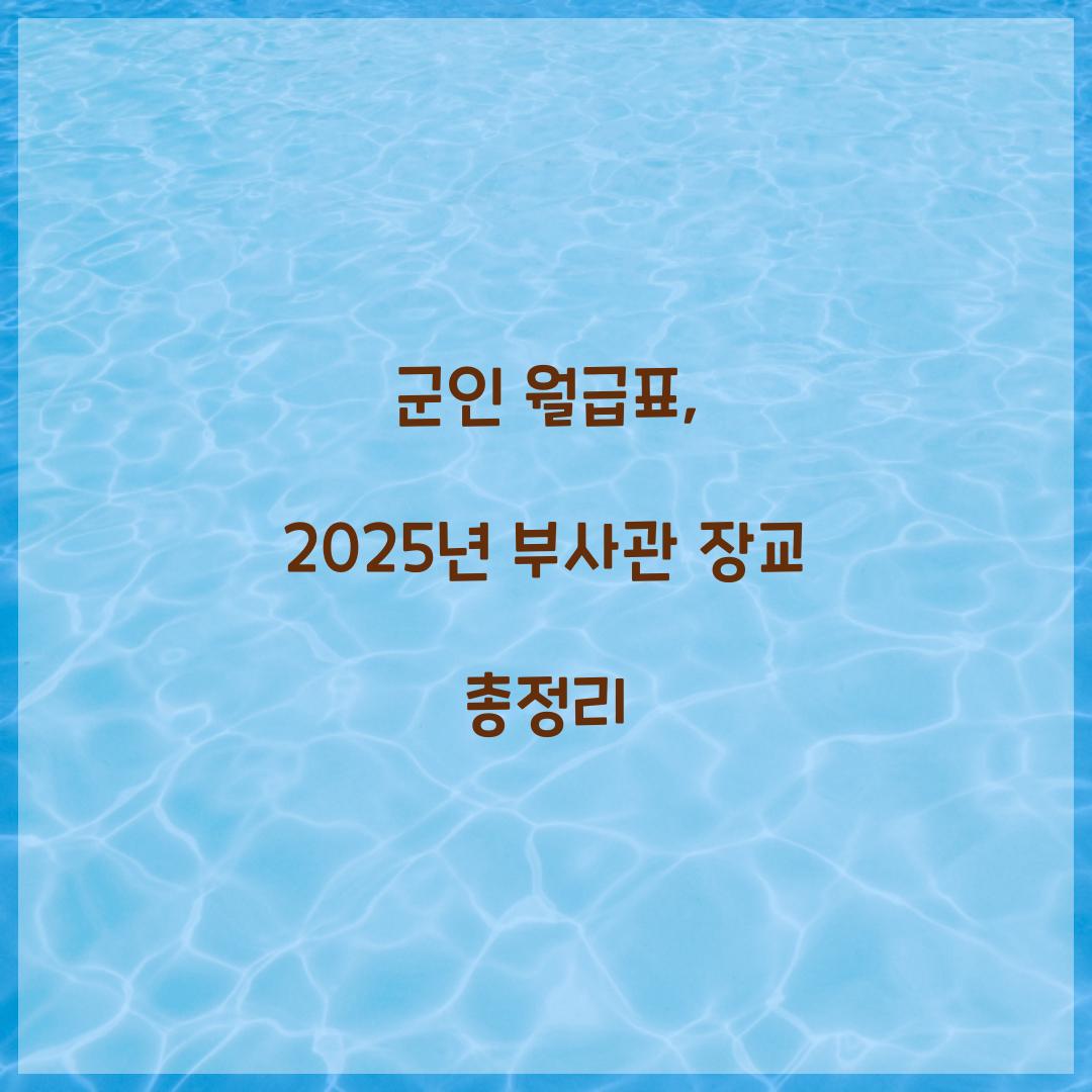 군인 월급표