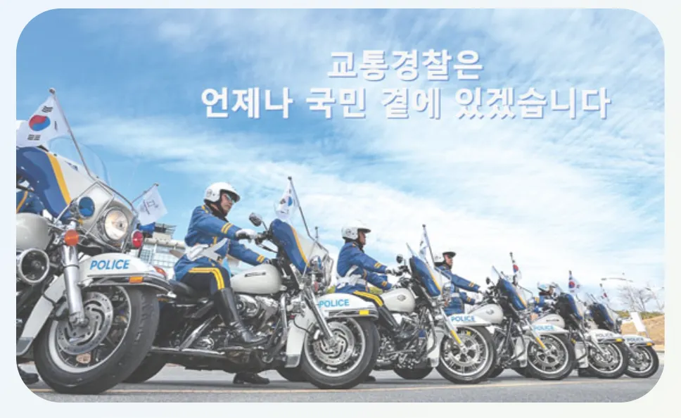 위반-과태료-조회