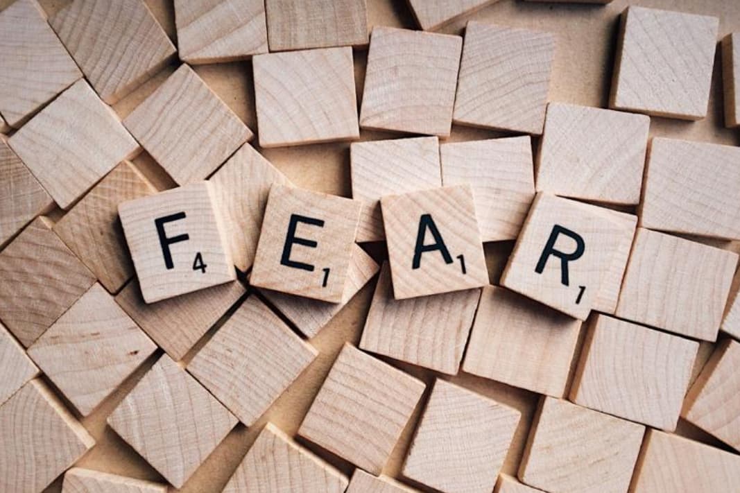 FEAR 이미지