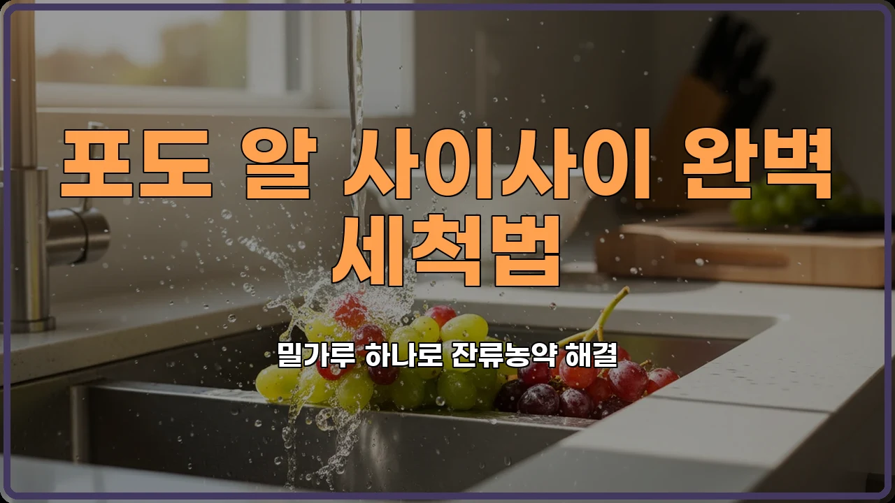 포도보관법