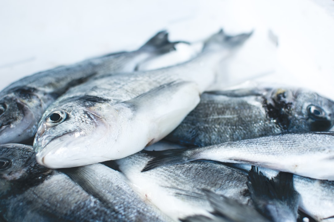 Battered fish.