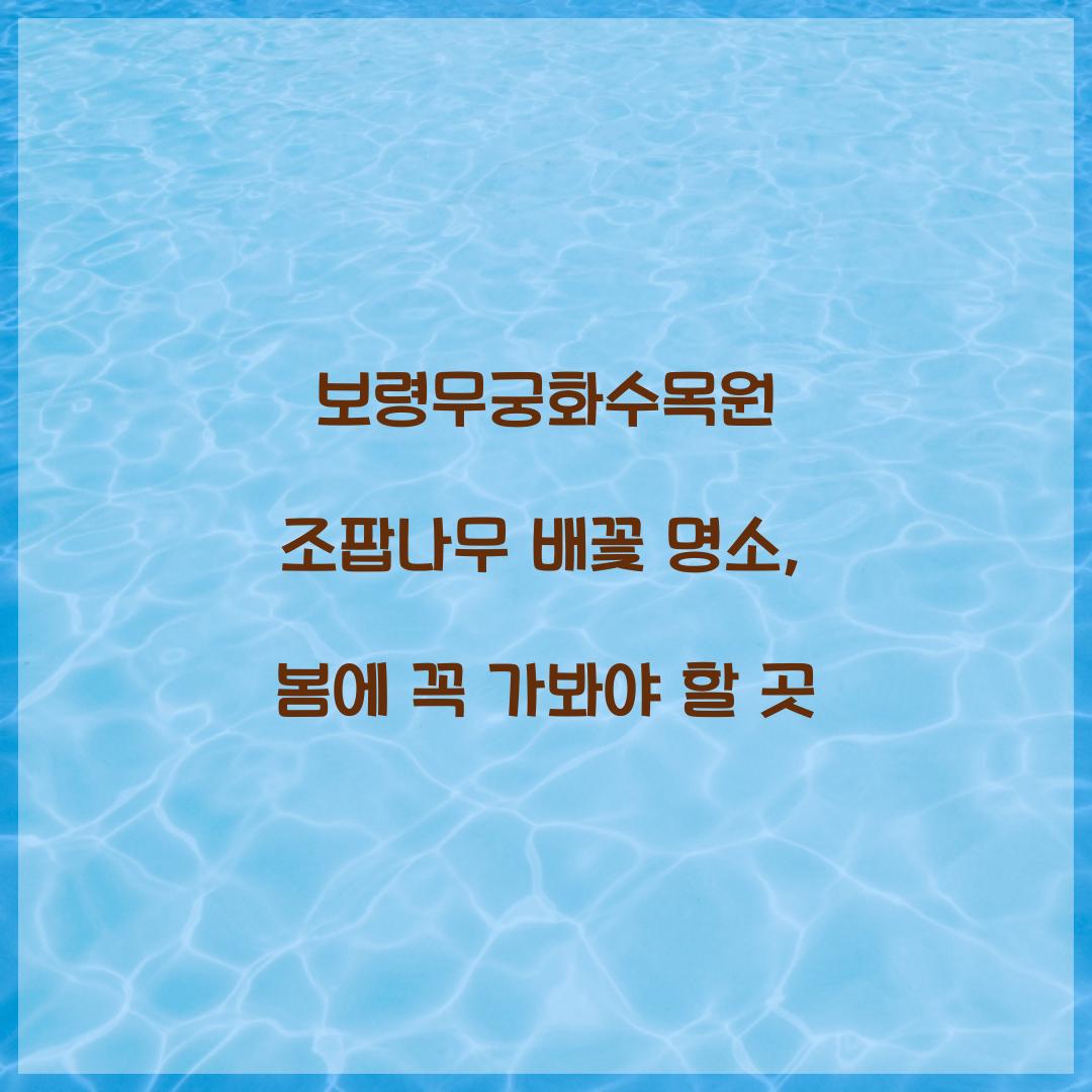 보령무궁화수목원 조팝나무 배꽃 명소