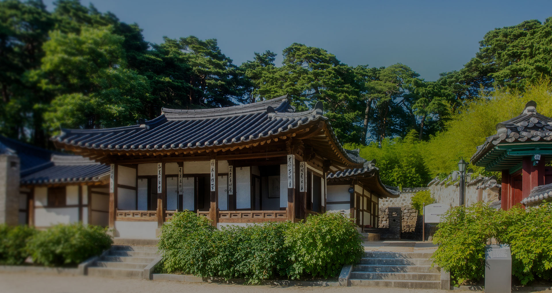 오죽헌과 나무들