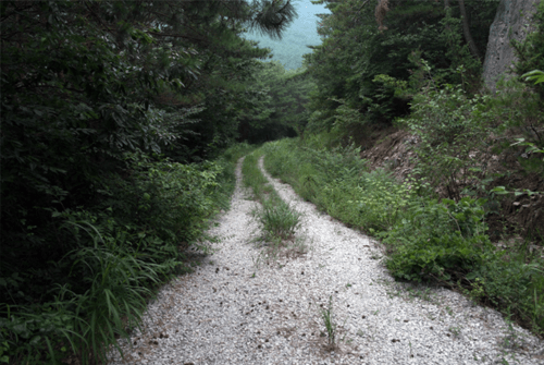 변산반도우금암18