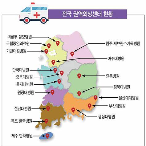 중증외상센터 역할 권역별 조회 진료비 지원