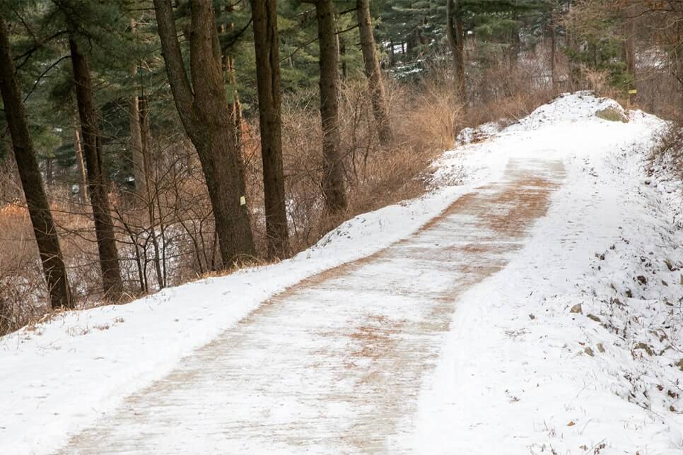 산림청 명품숲길 겨울 트레킹 : 가평 잣향기 피톤치드길 코스·주차·팁