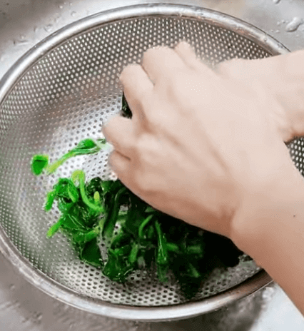 백종원 시금치무침