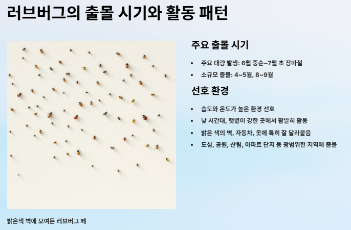 러브버그 수명,원산지,출몰시기,퇴치방법 및 예방방법