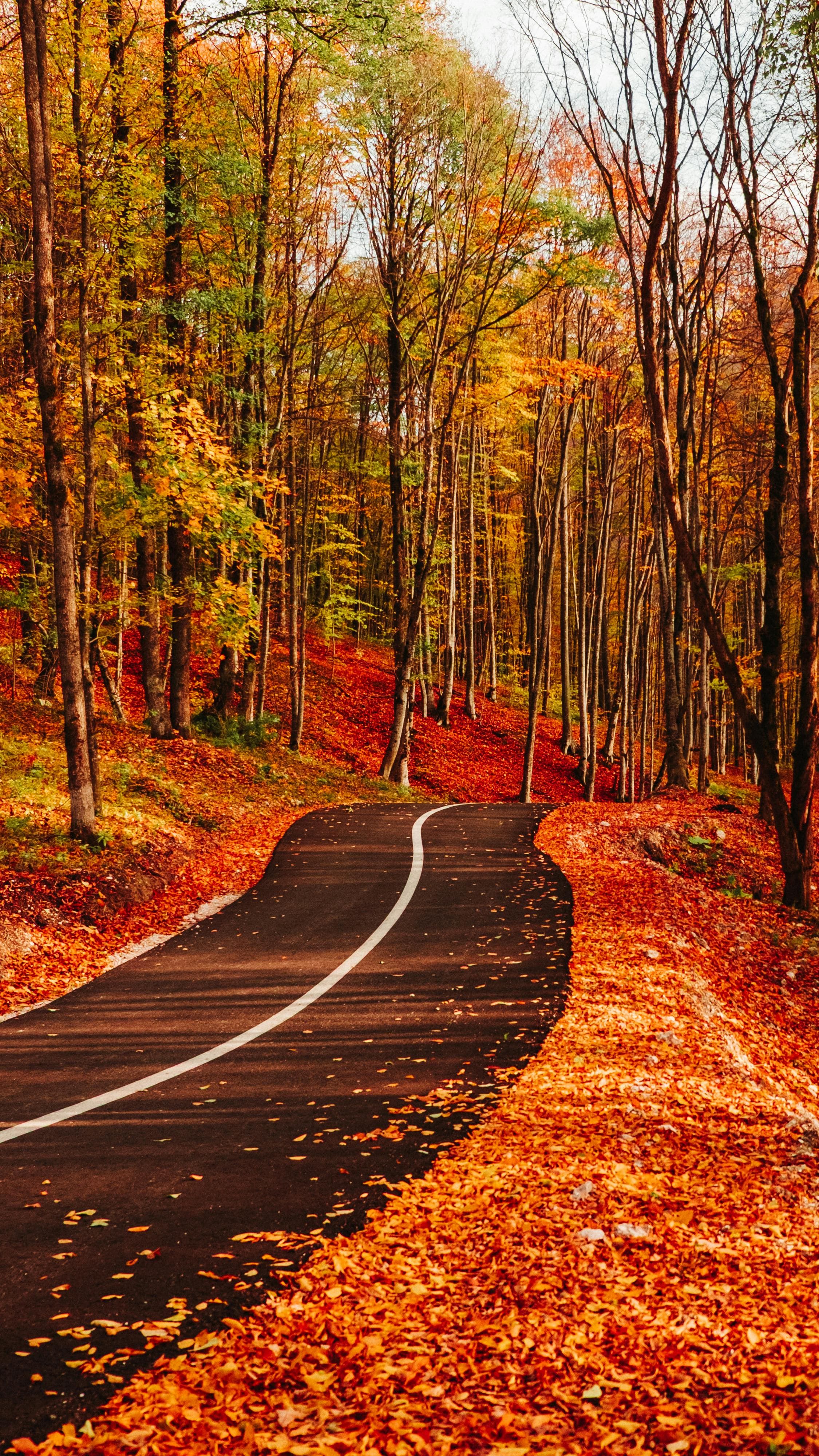 2025 개천절 나들이 추천! 6 