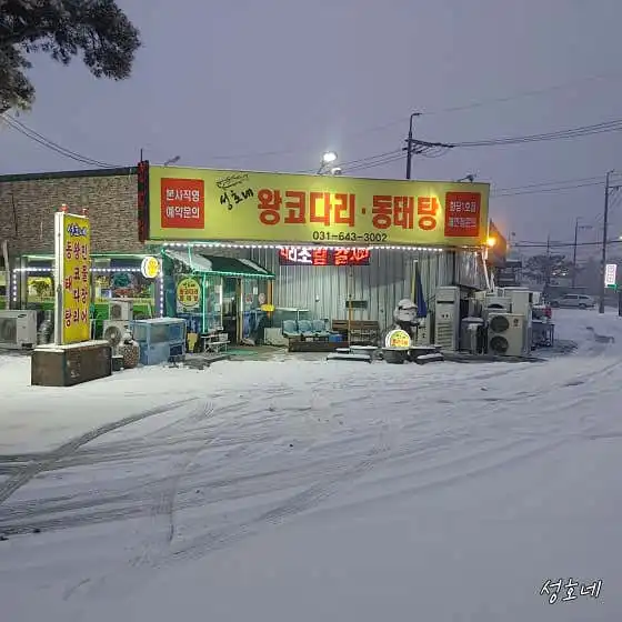 생방송투데이 이천 성호네왕코다리동태탕 실제 후기