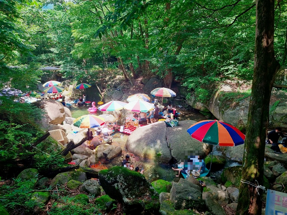 지리산 하동 쌍계사 계곡 신진식당 옆 신흥식당: 계곡 물놀이, 발 담그고 백숙 먹기
