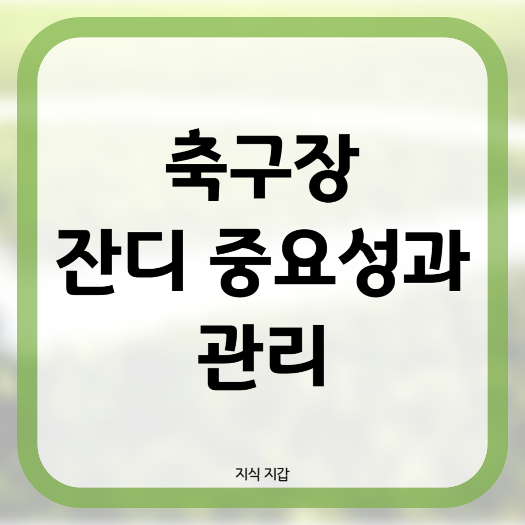 축구장 잔디 중요성과 관리: 경기 품질과 선수들 안전을 위한 필수 요소1