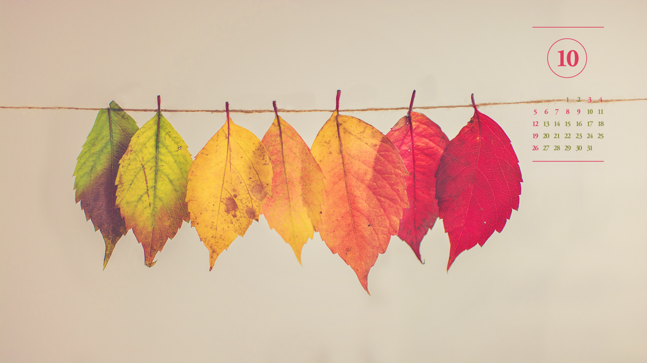 07 나뭇잎들 A - 2025년10월 노트북배경화면