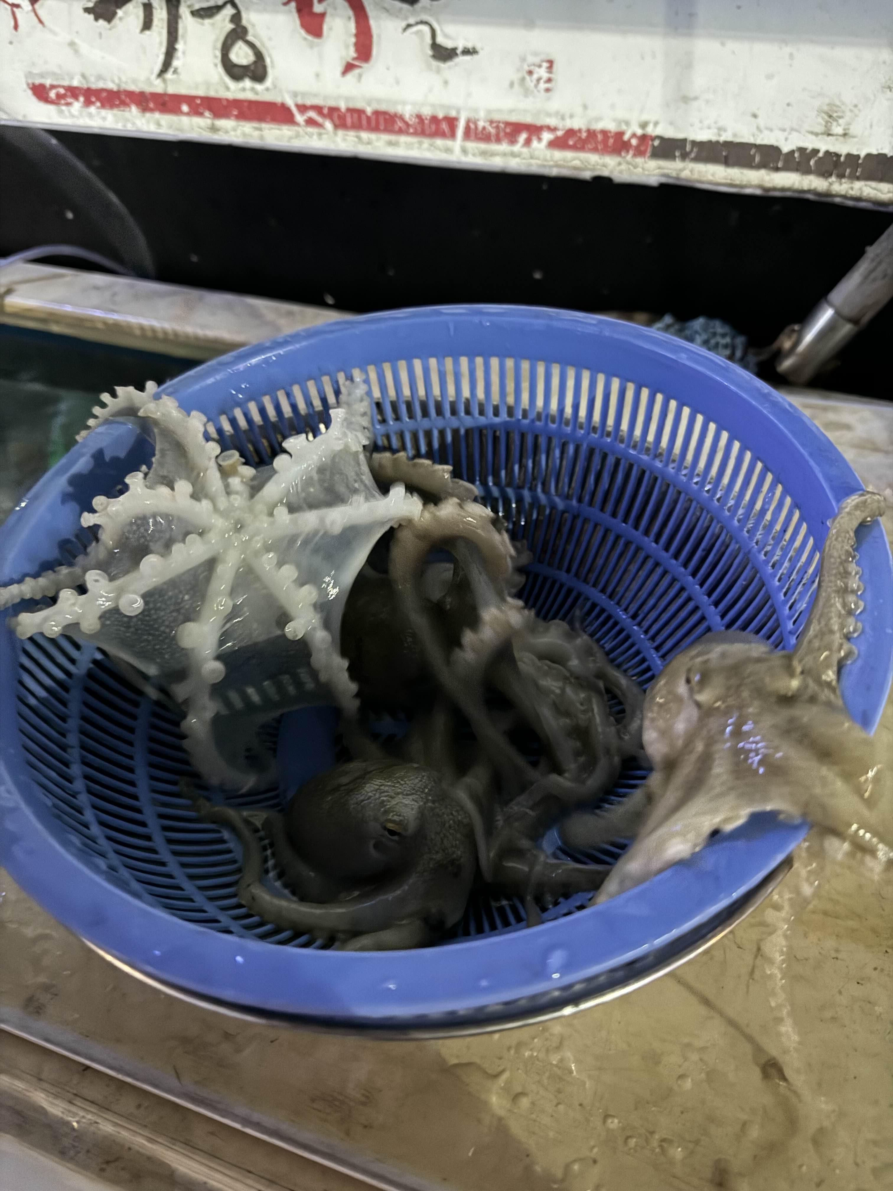 순천 취중닭발