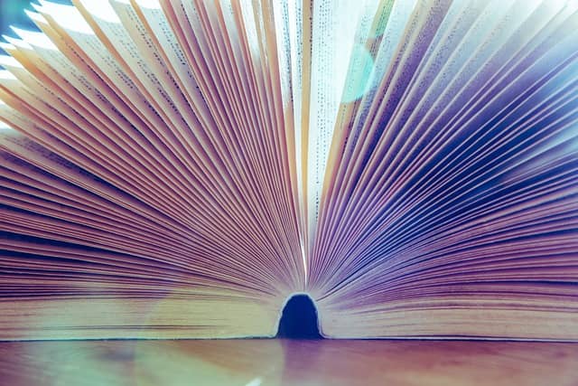 민생회복지원금 신청방법