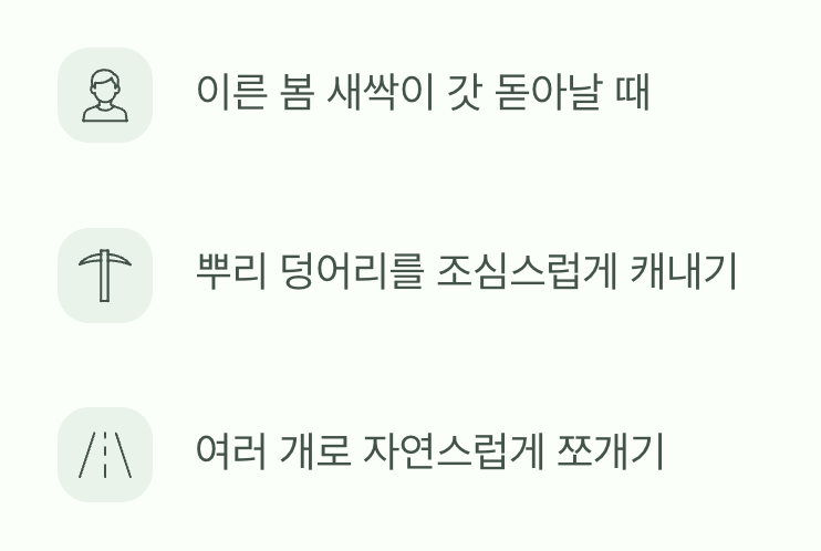 포기나누기로 정원을 넓히는 즐거움