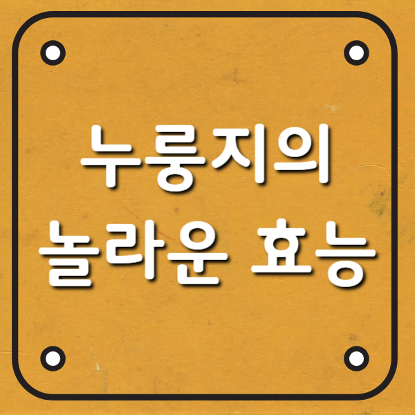 누룽지 효능과 누룽지 칼로리