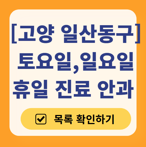 고양 일산동구 주말 일요일 문 여는 안과 목록 ❘ 토요일, 공휴일 진료 영업 병원 찾기