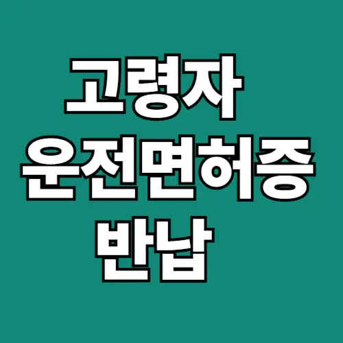 고령자 운전면허증 반납