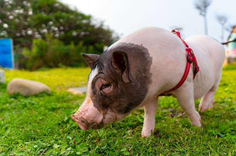 오늘의-운세-2023년-12월-18일-오늘의-띠별-운세