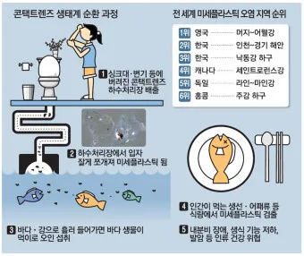 뇌를 잠식하는 미세 플라스틱 보이지 않는 위협_11