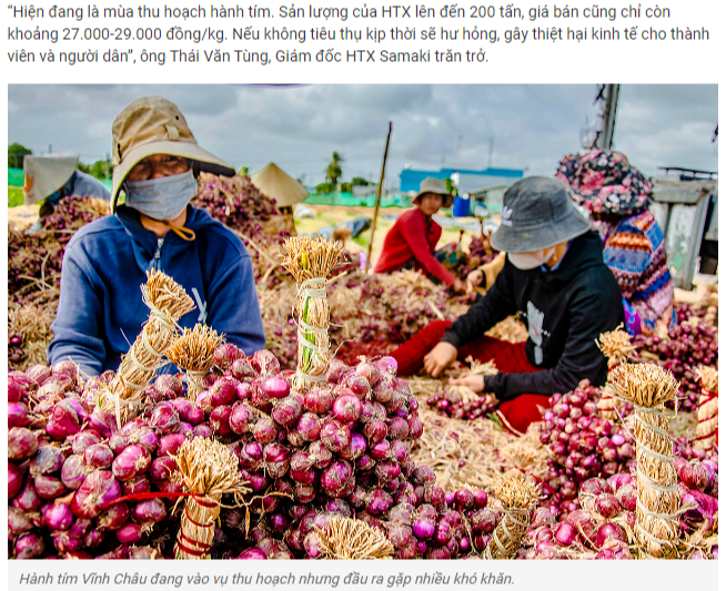 안절부절 관련 기사 사진