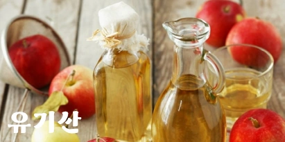 식초 유기산