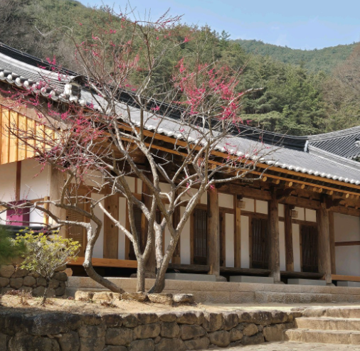 템플스테이 체험프로그램