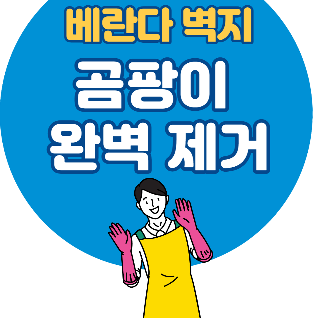 베란다_벽지_곰팡이_완벽_제거_방법_알아보기_썸네일