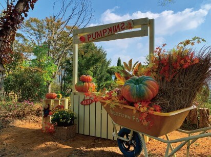 베어트리파크 단풍축제