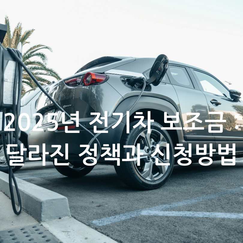 2025년 전기차 보조금
