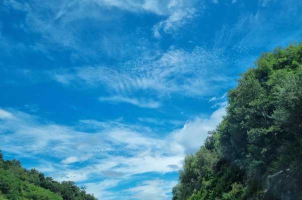 2025년 제주도 장마기간