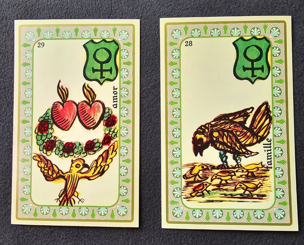 오라클 벨린 카드 배우기