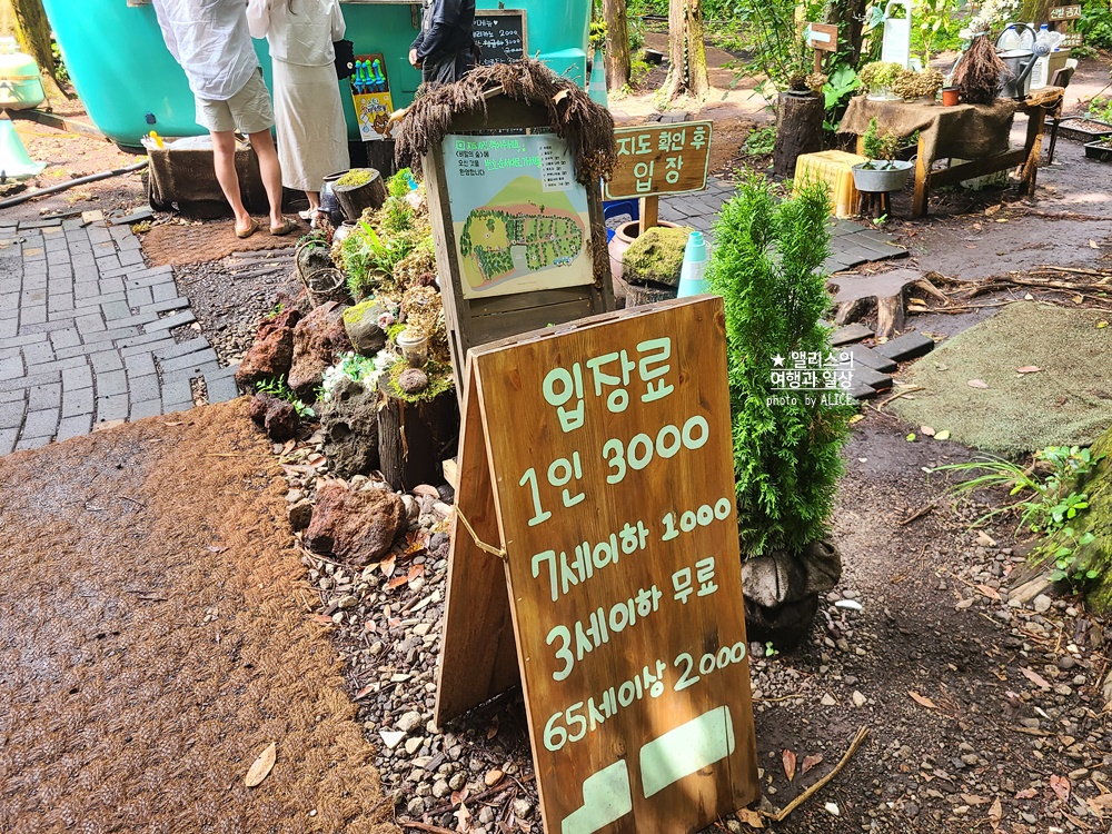 제주 비밀의 숲 동쪽 안돌오름 제주 핫플 이국적인 포토존