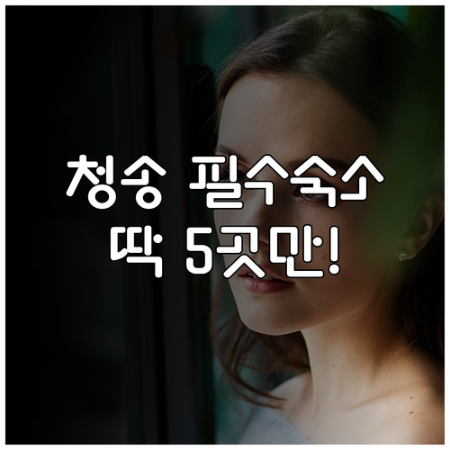 경북 청송 숙소 추천 5곳 소노벨 온..