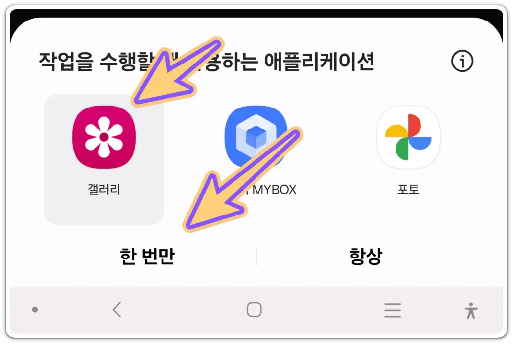 꽃-이름-검색-찾기-방법