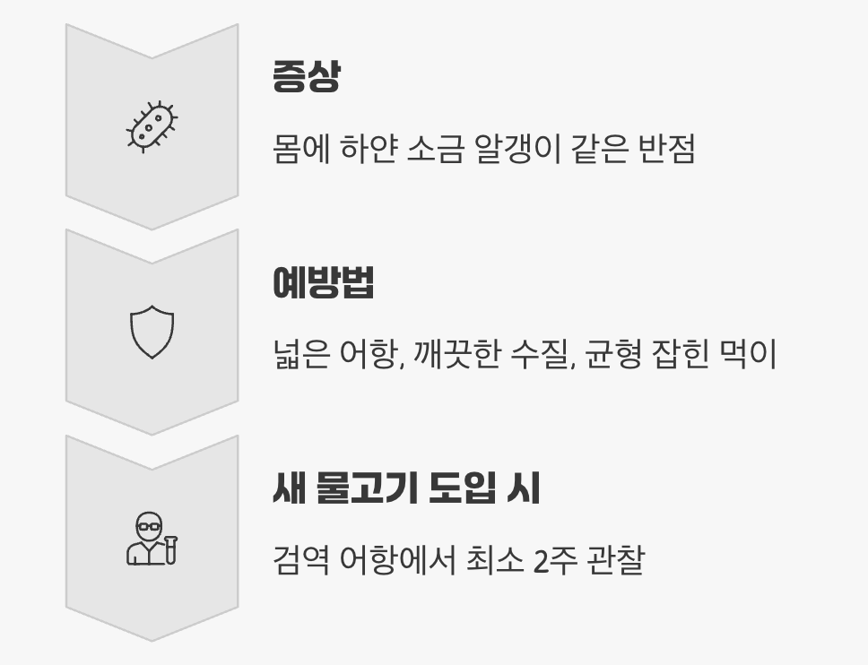 해수어의 숙명&amp;#44; 백점병