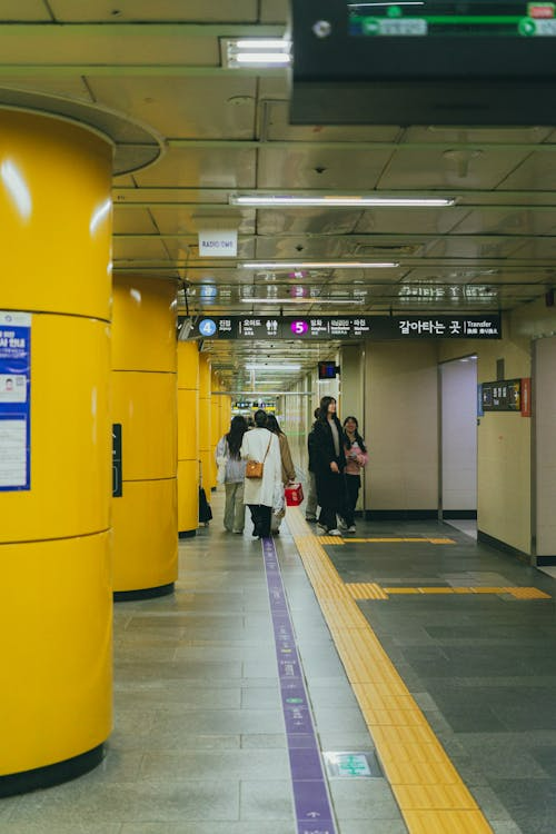 대중교통 정액패스 신청방법