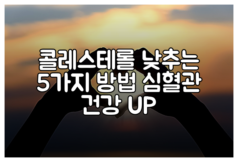 콜레스테롤 낮추는 5가지 방법 심혈관 건강 UP