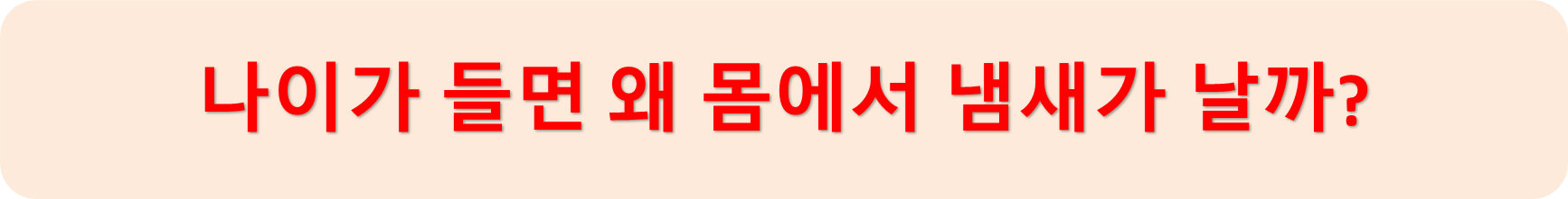 노인냄새