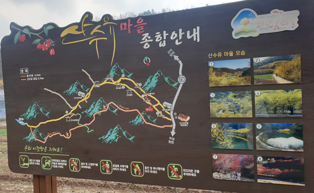 의성 산수유 마을