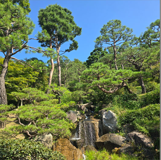 화담숲 모노레일 예약방법