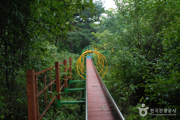 청양 가볼만한곳 베스트10