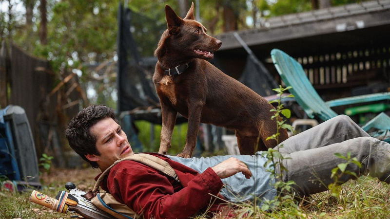 러브앤몬스터즈