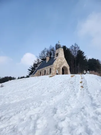 평창 가볼만한곳 베스트10 대관령 양떼목장 허브나라 드라이브_19
