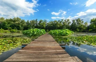 경기도 1박 2일 여행지 추천 베스트 5곳 총정리 완벽 코스_10