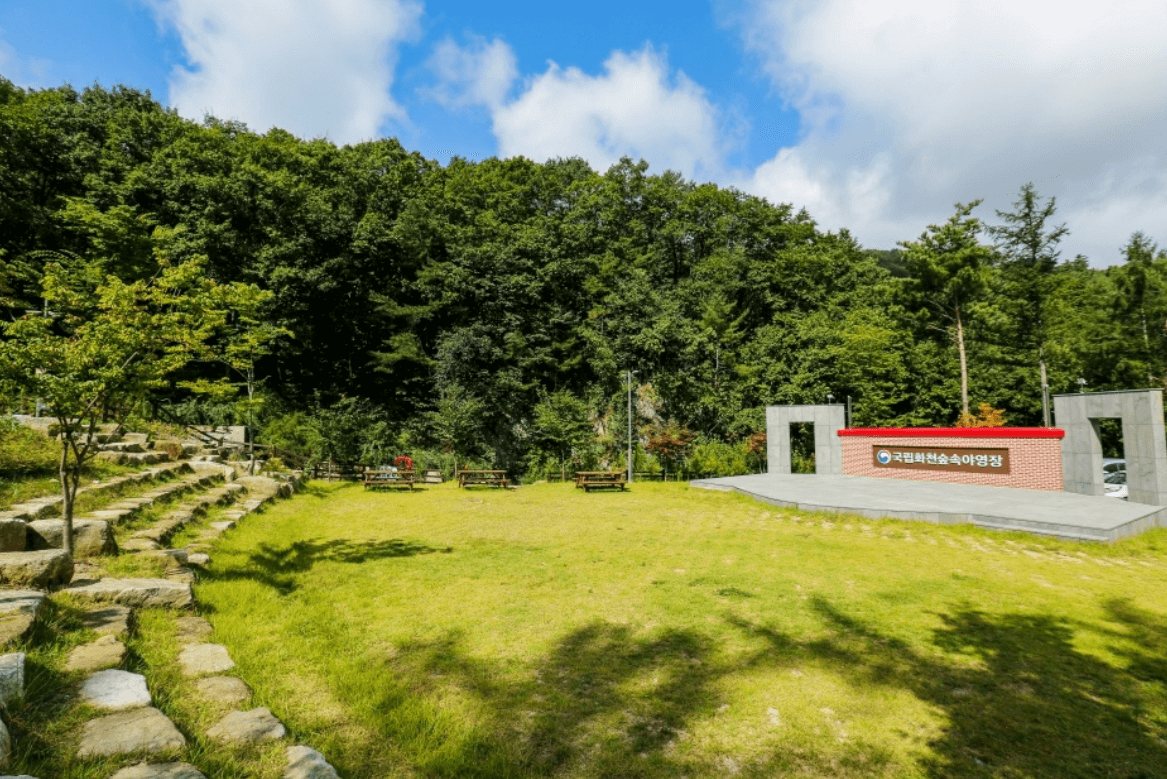 국립화천숲속야영장